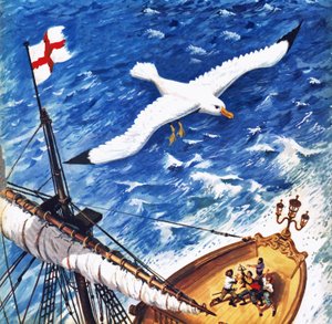 Albatros door English School