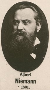 Albert Niemann door English School