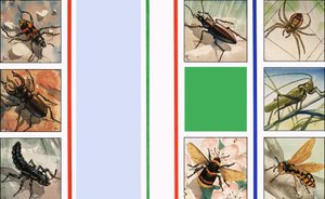 Allerlei insecten door English School