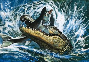 Alligator eet vis door English School