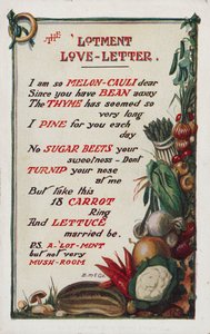 Liefdesbrief volkstuin (kleurenlitho)