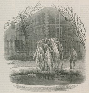 Een ijstree in Middle Temple