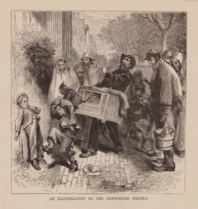 Een illustratie van de Darwinistische theorie (gravure)