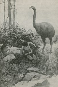 Een uitgestorven inwoner van Nieuw-Zeeland