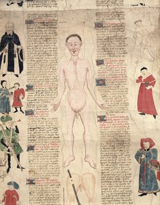 Anatomisch diagram, uit De arte phisicali e de cirugia door John Ardene