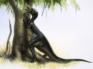Anatosaurus door English School