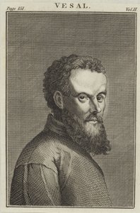 Andreas Vesalius door English School