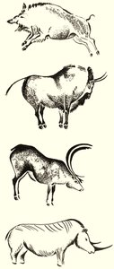 Dieren met hoorns montage