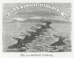 Academie Animosi (gravure)