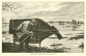 Naderende Wilde Eend met Stalkpaard
