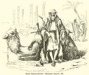 Arabische kameeldrijver door English School