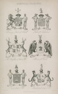 Wapenschilden
