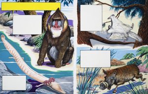 Diverse dieren door English School