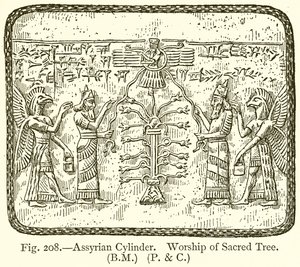 Assyrische cilinder. Aanbidding van de heilige boom