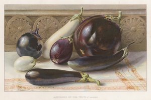 Aubergines of eierfruit