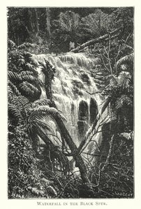 Australië: Waterval in de Black Spur door English School