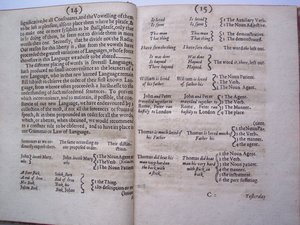 Pagina