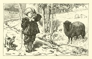 Baa, Baa, Zwart Schaap door English School