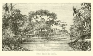 Bamboebrug in Borneo