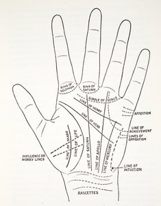 Basislijnen en Kleinere Lijnen van de Hand