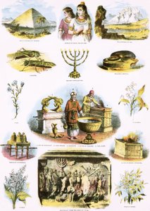 Bijbelse illustraties