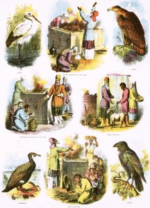 Bijbelse Illustraties