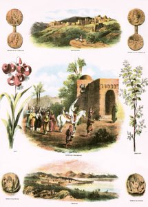 Bijbelse illustraties
