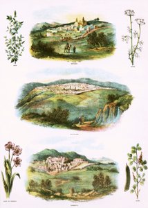 Bijbelse illustraties