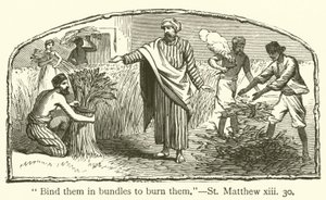 "Bind ze in bundels om ze te verbranden", Mattheüs, xiii, 30 (gravure)
