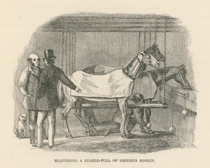 Het blaren van een stal vol omnibuspaarden (gravure)