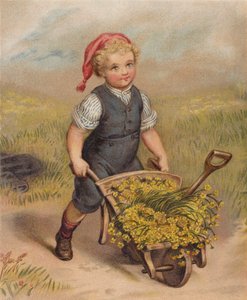 Jongen duwt een Kruiwagen vol Bloemen