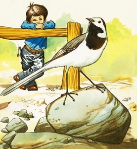 Jongen kijkt naar een onbekende vogel