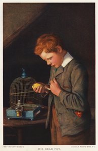 Jongen met zijn dode kanarie