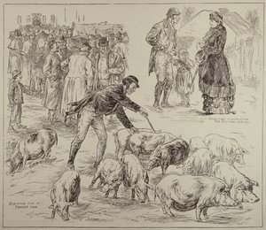 Boycotten in Ierland, uit The Illustrated London News, 4 oktober 1886