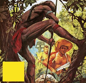 Brazilië: het land dat een stad uit de jungle hakte
