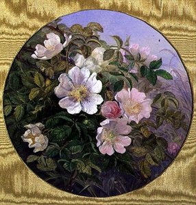 Briarrozen, c.1890