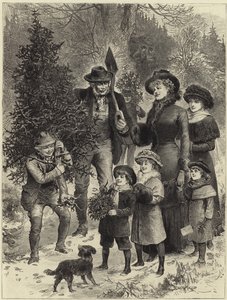 De kerstboom thuisbrengen