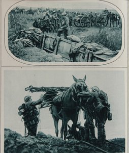Britse kanonniers met pakpaarden, Vlaanderen, augustus 1917