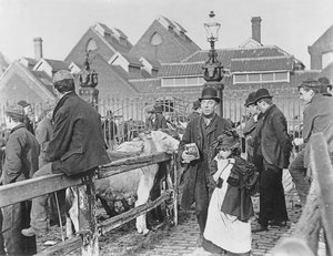 Britse dorpsveemarkt, Victoriaans, 19e eeuw (foto) door English School