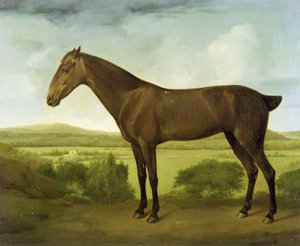 Bruin paard in een heuvelachtig landschap, ca. 1780-1800