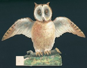 Bruine uil met open vleugels, Kerstkaart