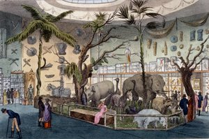 Bullocks Museum, 22 Piccadilly, Londen, uit Ackermanns Repository of Arts, 1809