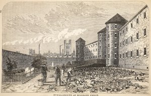 Begraafplaats in Millbank Prison, illustratie uit The Criminal Prisons of London and Scenes from Prison Life door Henry Mayhew en John Binny, uitgegeven in 1862 door English School