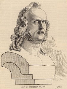 Buste van Professor Wilson