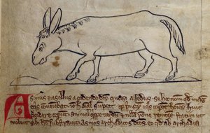 CCA-LitMs/D/10 fol. 10r Ezel, uit Bestiarium
