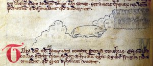 CCA-LitMs/D/10 fol. 11v Mol, uit Bestiarium