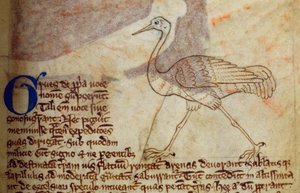 CCA-LitMs/D/10 fol. 14r Kraanvogel, uit Bestiarium