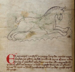 CCA-LitMs/D/10 fol. 2v Eenhoorn, uit Bestiarium