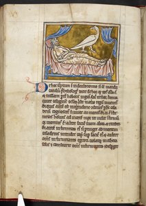Caladrius vogel - Bestiarium, Koninklijk MS 12 C XIX, f.47v door English School