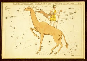 Camelopardalis, Tarandus en Custos Messium, uitgegeven 1825 (handgekleurde gravure) door English School